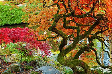 《命运2》服务器问题导致第三方API支持关闭