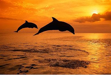 硬盘太小？外媒盘点2022年小的出奇的11款游戏